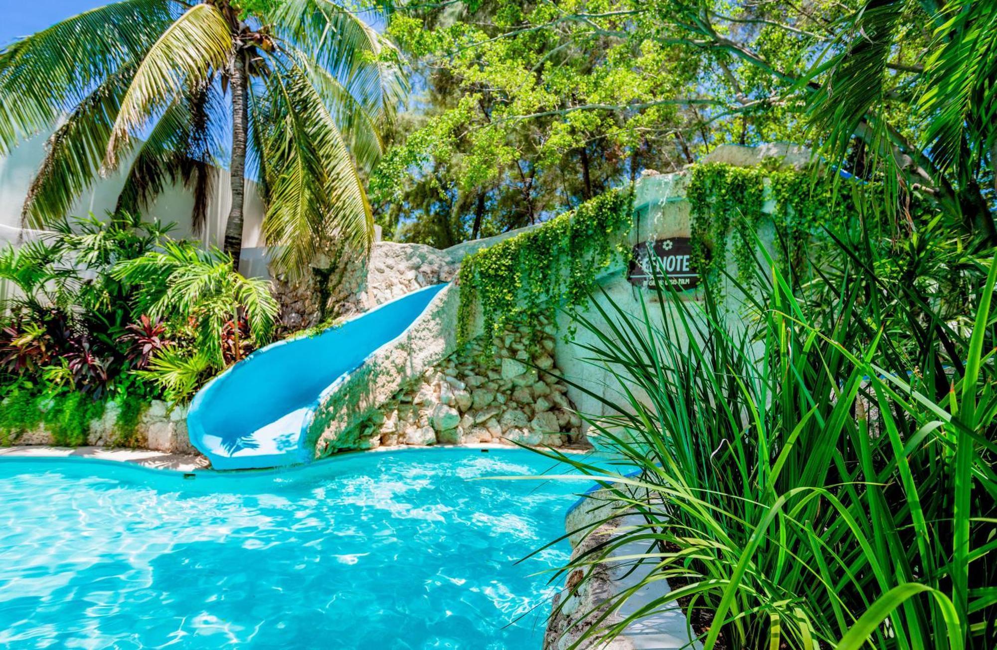 Hotel Oasis Palm Cancún Exterior foto